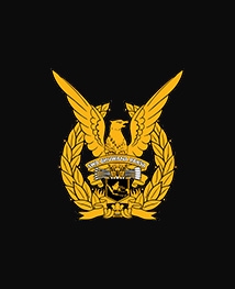 Indonesian Air Force